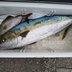 船ジギング釣り果